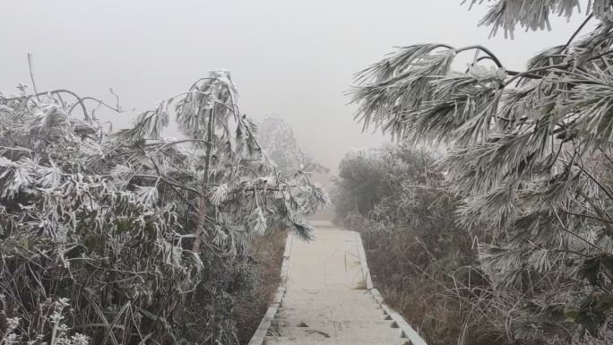 冬季雾凇雪景