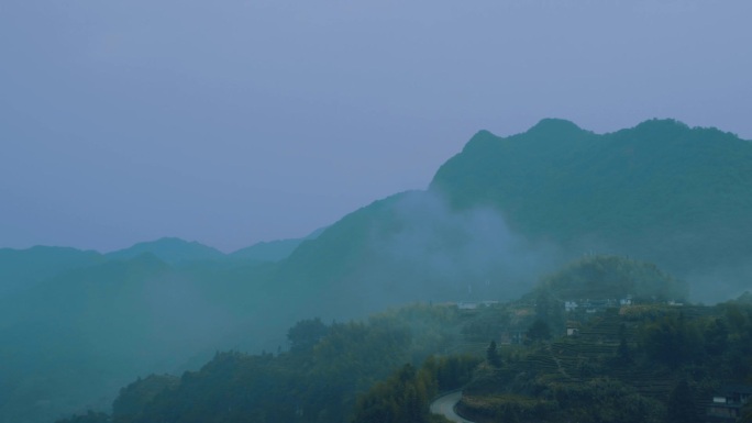 安溪茶山宣传片云雾缭绕风景茶园茶树森林