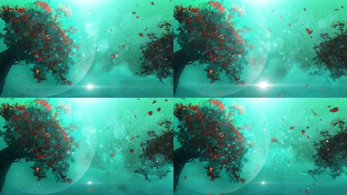 森系 静谧 神秘 花 树