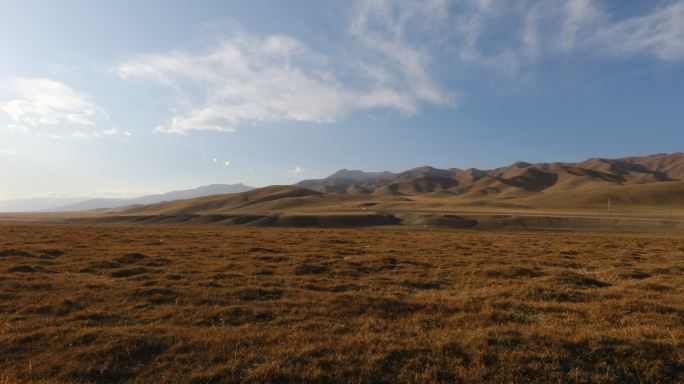 新疆秋天的草原