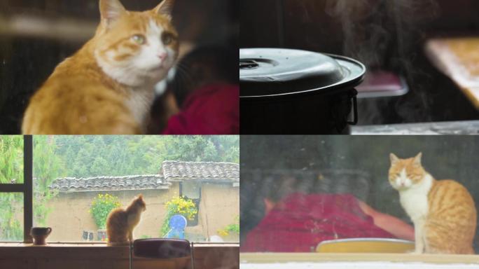 僧人与猫温暖家庭