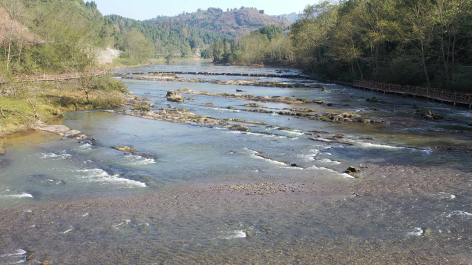 河流清澈的河水、水溪流泉水溪水