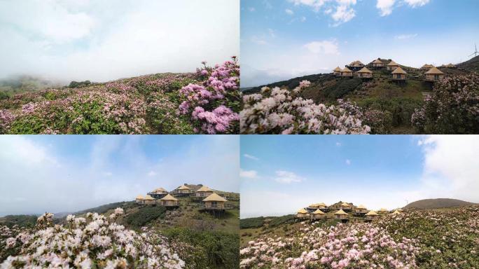 4K-乌蒙大草原-花丛中的蒙古包延时组