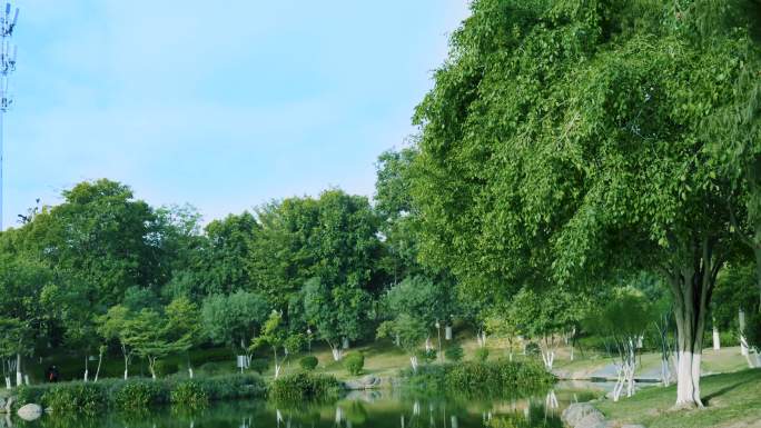 公园绿植蓝天白云空境湖面风光