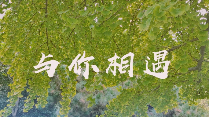 图片片头Logo演绎