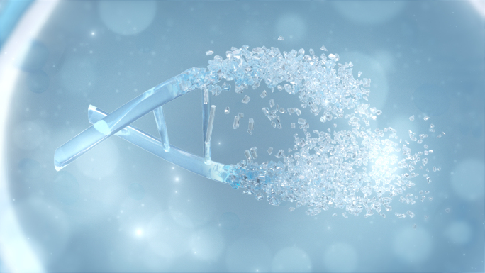 DNA修复激活皮肤细胞