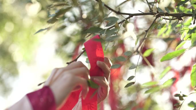 大唐 唐村 新年 祝福 吉祥如意 红绳