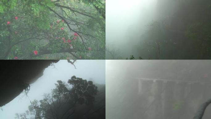 雨雾中的三清山仙境