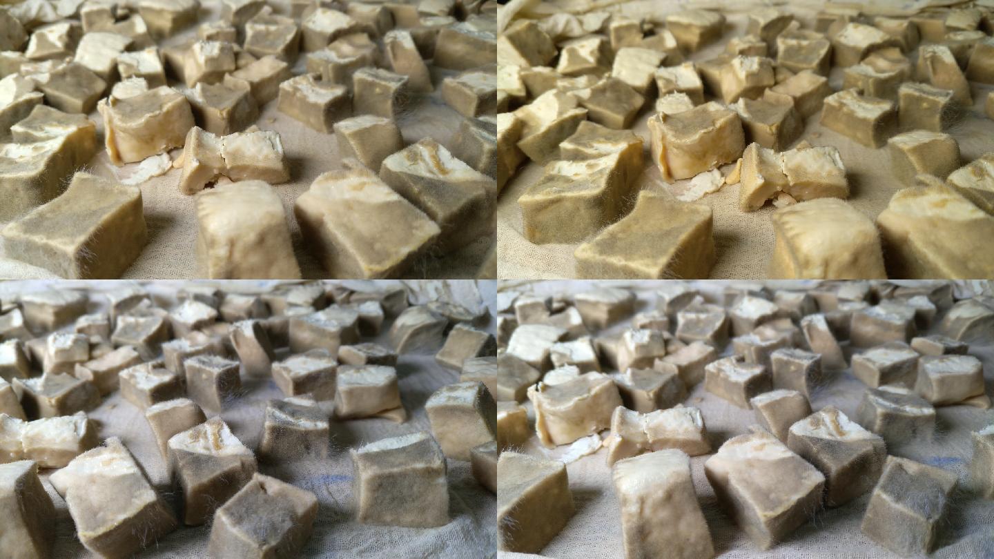 霉豆腐(霉豆腐的制作方法)