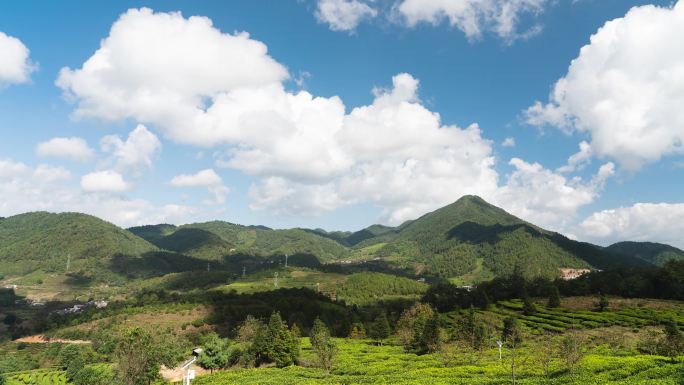 茶田延时 蓝天白云 云南茶山 绿水青山