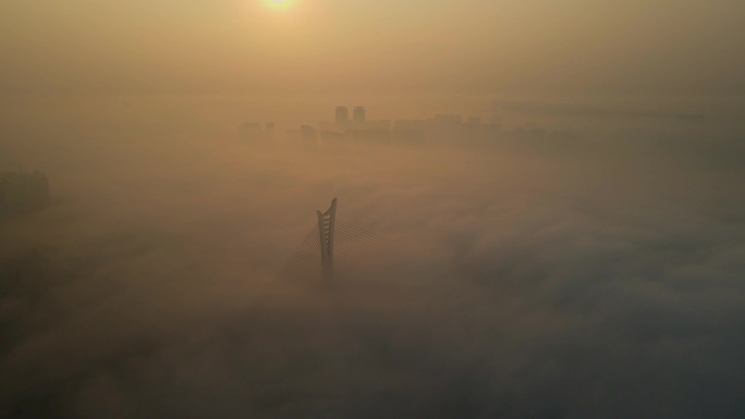 泸州沱六桥 平流雾