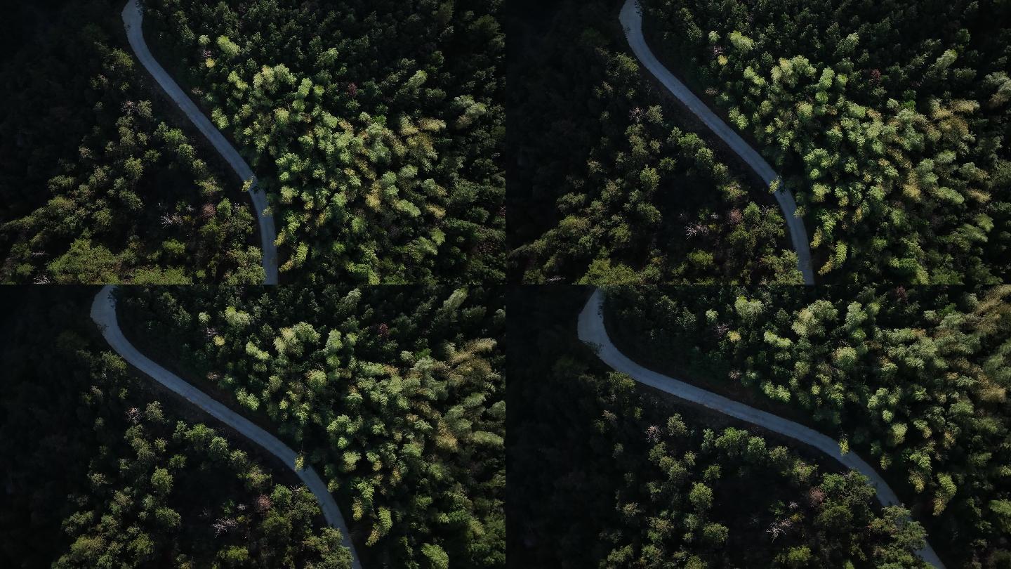 自然森林穿梭公路4K航拍