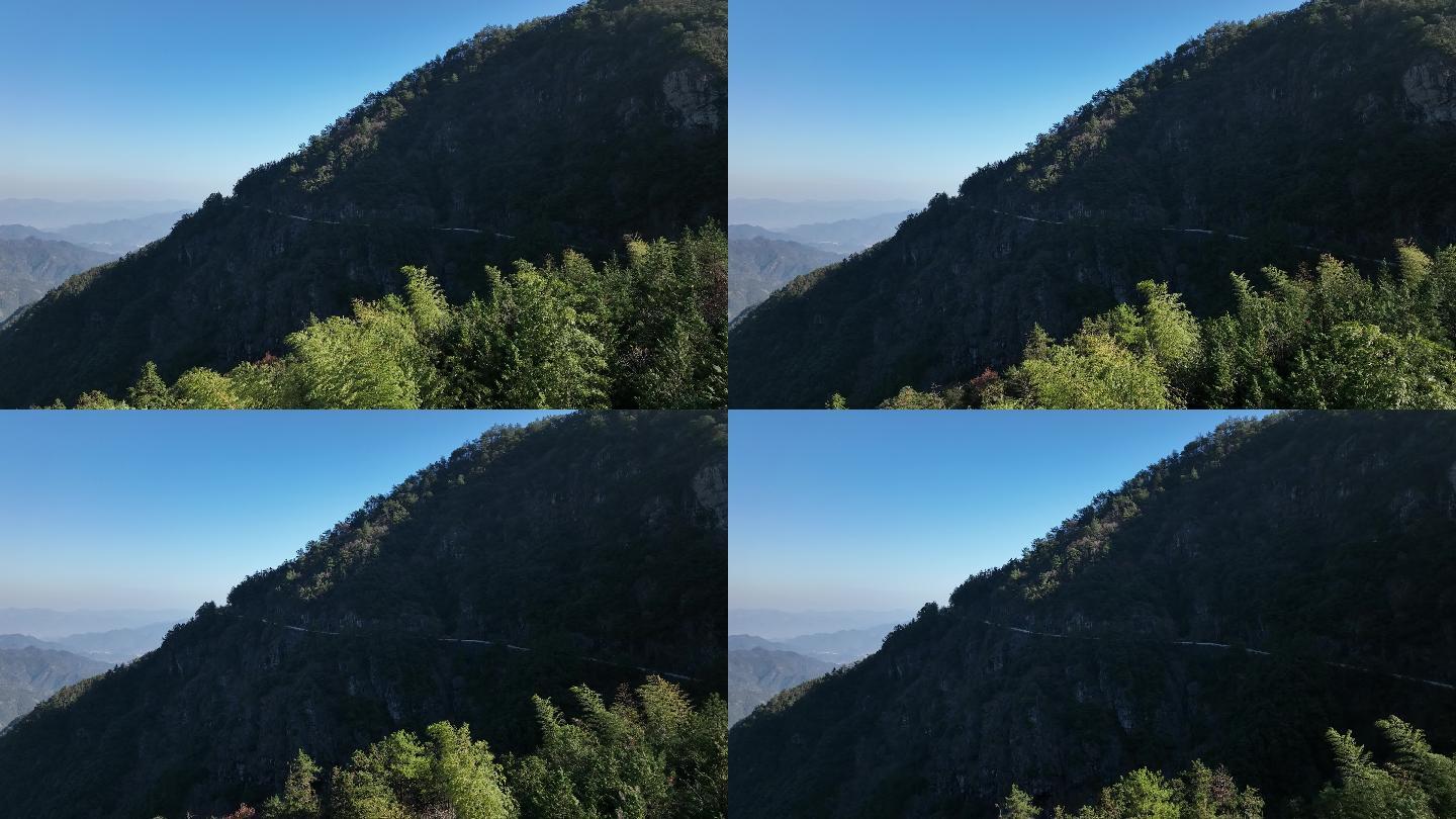 自然森林大山逆光4K航拍