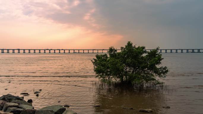 深圳宝安西湾海中独树延时4K