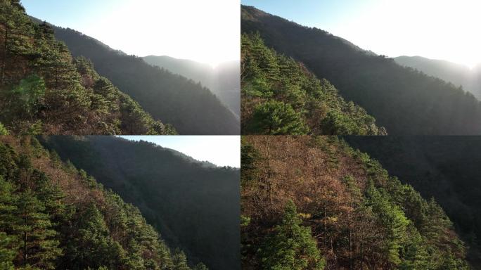 日落逆光大自然大山森林4K航拍