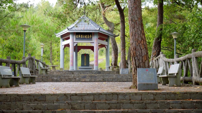 华屋村十七棵烈士松