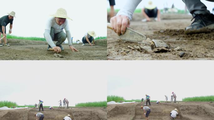考古挖掘、考古人员、考古工作者、田间考古
