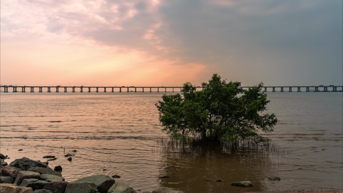 深圳宝安西湾海中独树延时6K素材