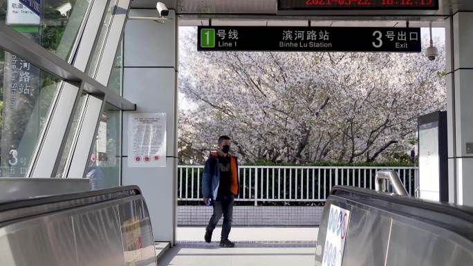 苏州滨河路超美樱花地铁