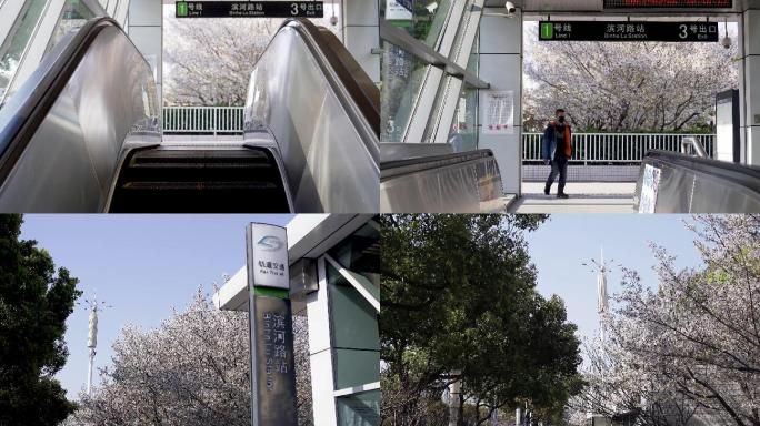 苏州滨河路超美樱花地铁
