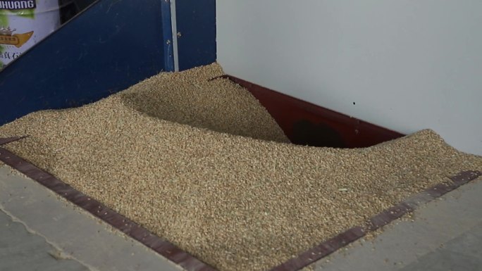 稻谷碾米机生产设备