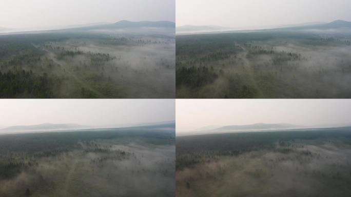 雾中的大兴安岭山林