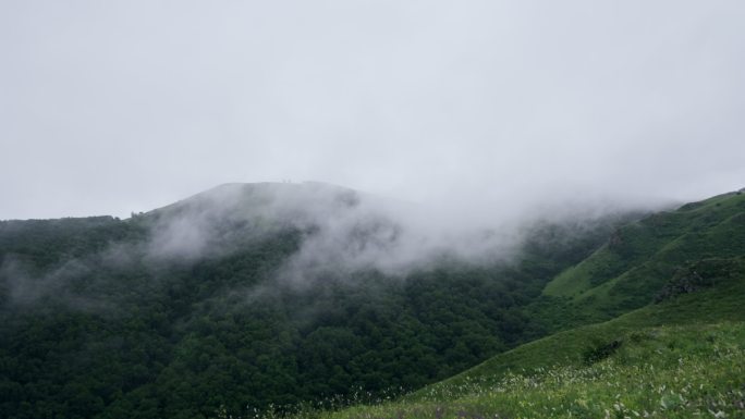 丰宁坝上草原