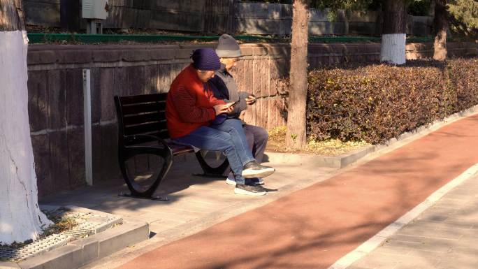 在户外坐着一直看手机的老年人