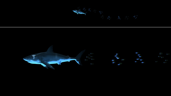 8K海底鲨鱼-带通道