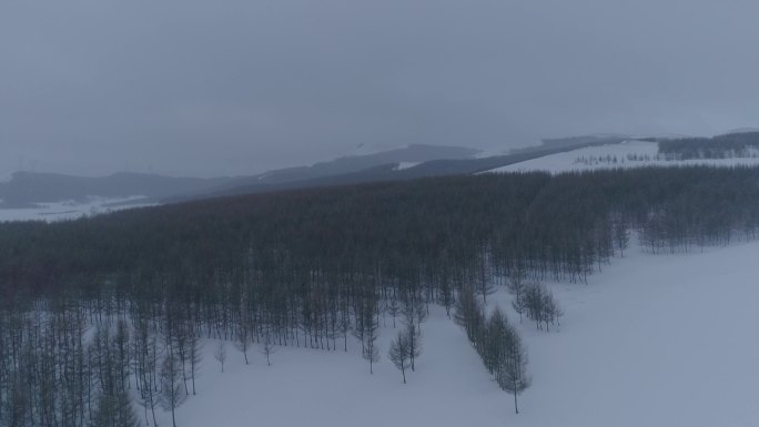 林海雪原