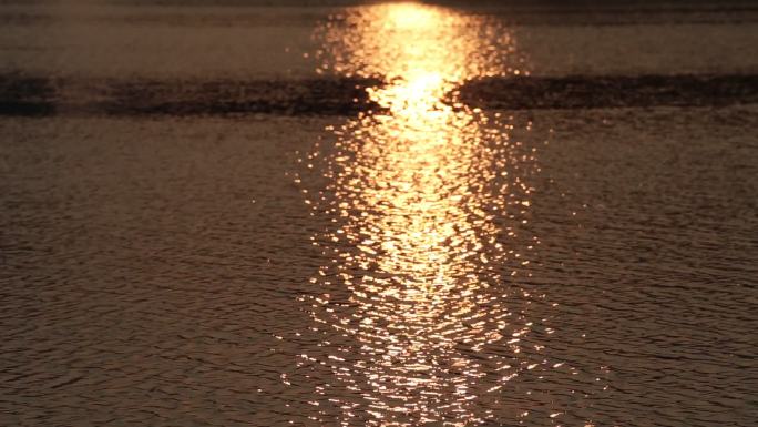 夕阳江水金色原素材