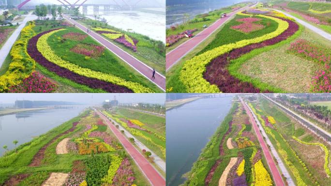 航拍蟠龙河花海两岸景观大道鲜花盛开