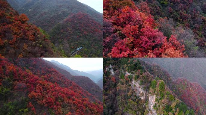 秦岭多彩秋景