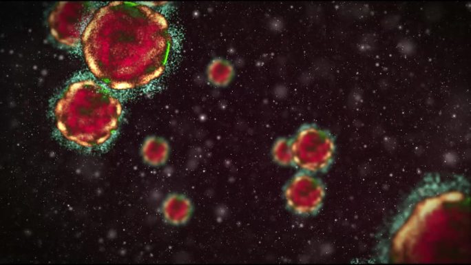 细菌-粒子病毒