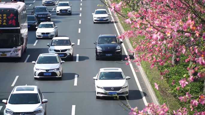 城市车流 城市交通