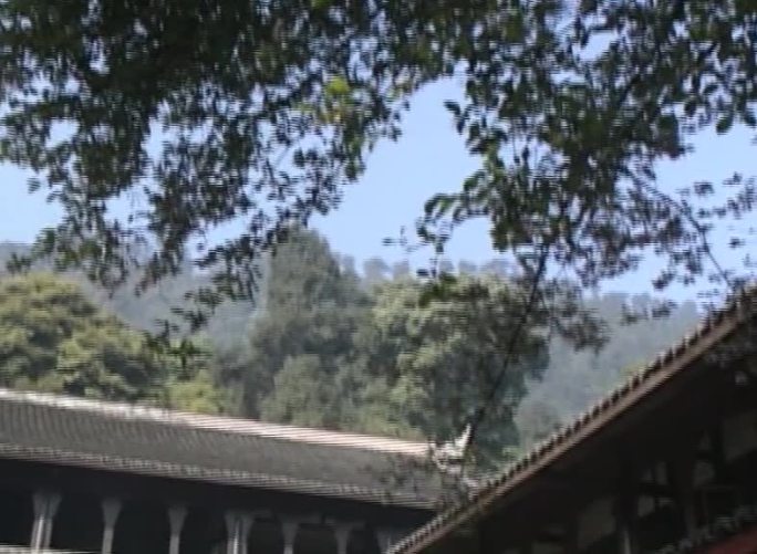 94年四川峨眉山伏虎寺景象