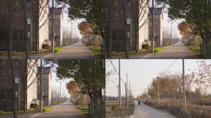 农村路乡村道路小路