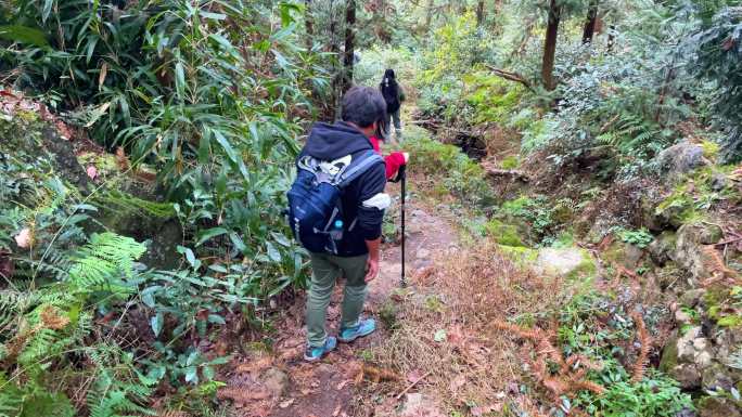 探险队探险走山路小道4K实拍