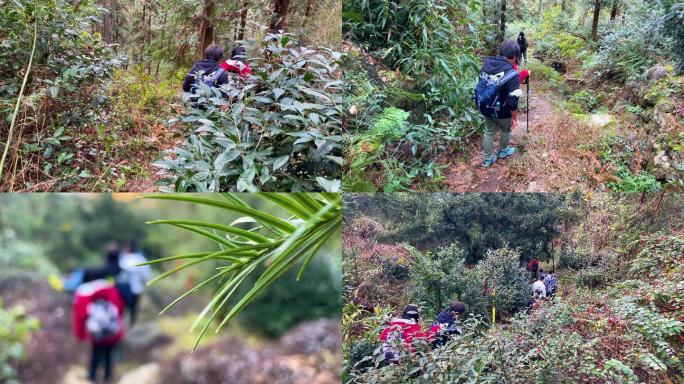 探险队探险走山路小道4K实拍