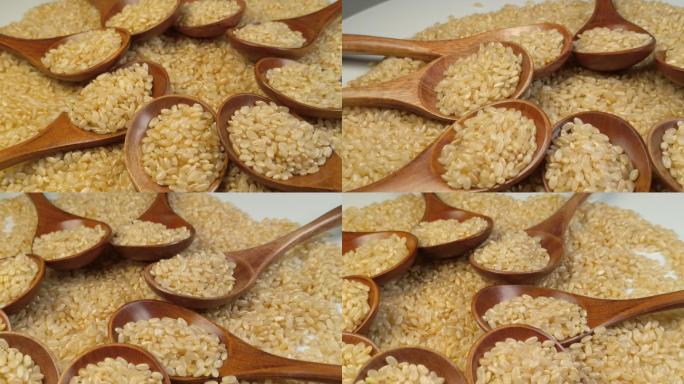 糙米大米粮食（二十三）
