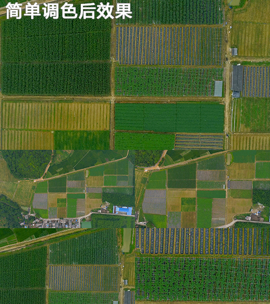 农业乡村水稻俯航拍田地种植农民蔬菜水果林
