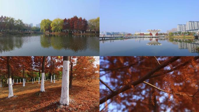 4K素材冬季的公园风景，盐城东亭湖公园