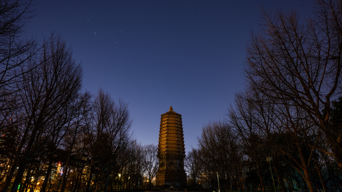 【4K】北京慈寿寺玲珑塔-夜景延时