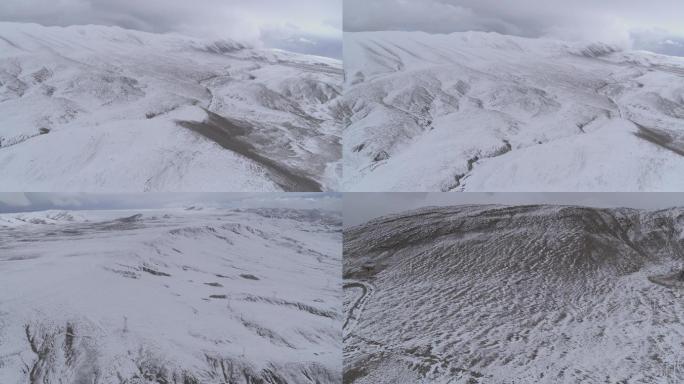 青藏雪山