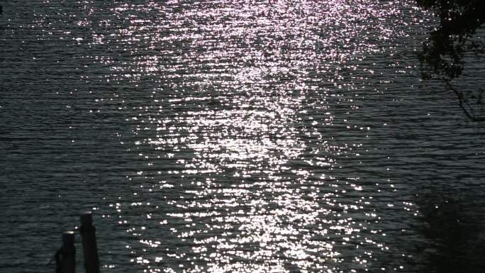 阳光下水面湖面波光闪闪原素材
