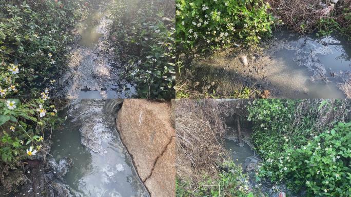 污水流入田里，河流污染