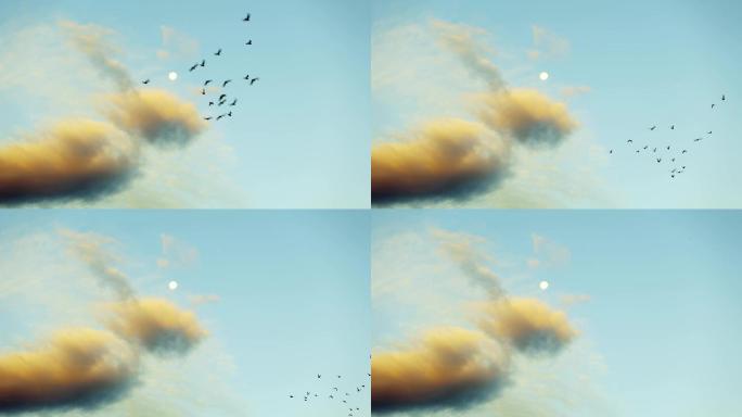 清晨鸽子飞过天空