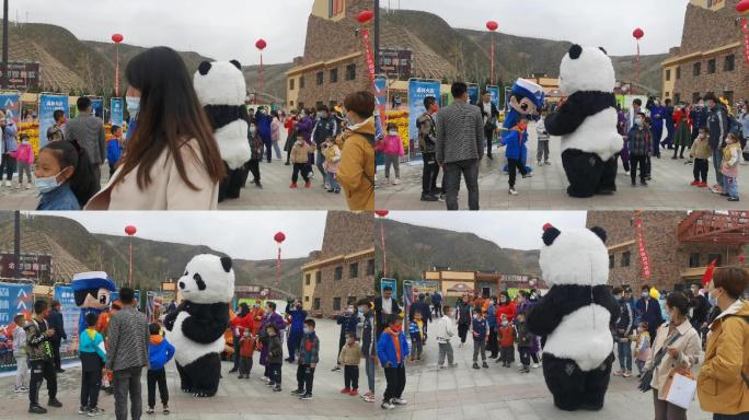 跳舞 可爱 搞笑 正能量 熊猫 国宝