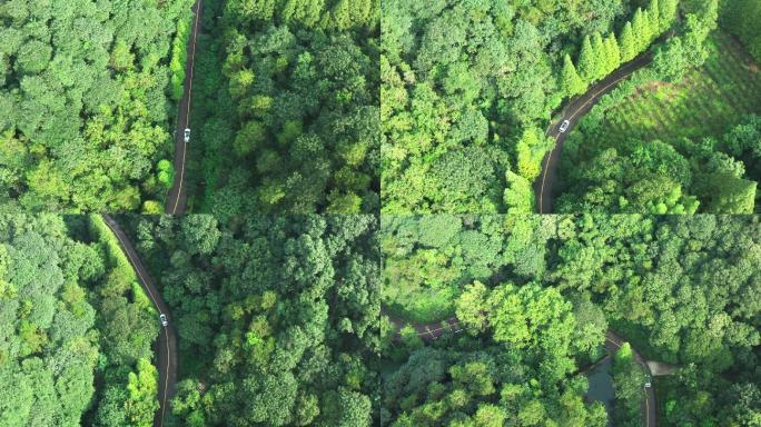 汽车在山间行驶  盘山公路 林间穿行4K