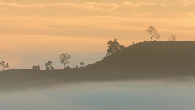 茶山云海